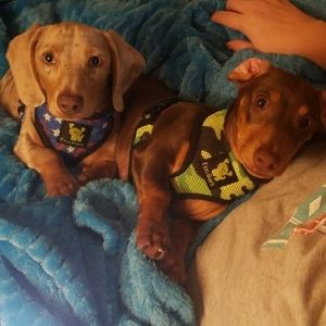 Meet your Posher, Mindy